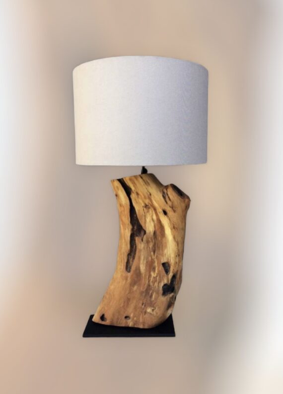driftwood art lamp