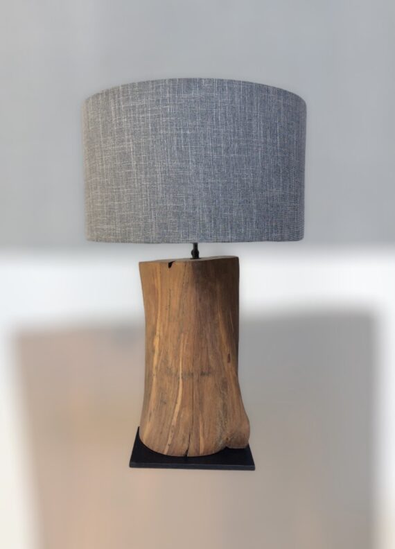 house indoor table lamp